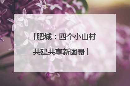肥城：四个小山村共建共享新图景